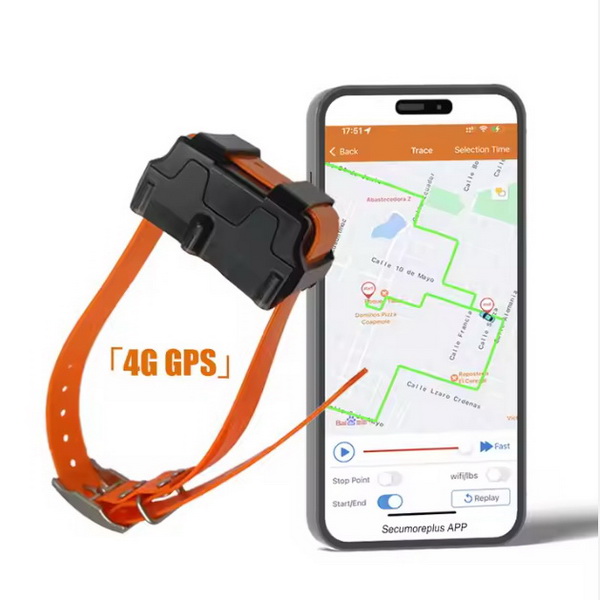 4G Dog GPS Tracker 